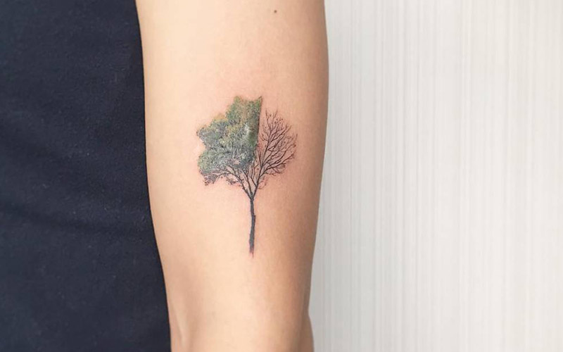 طراحی تاتو درخت روی بازو